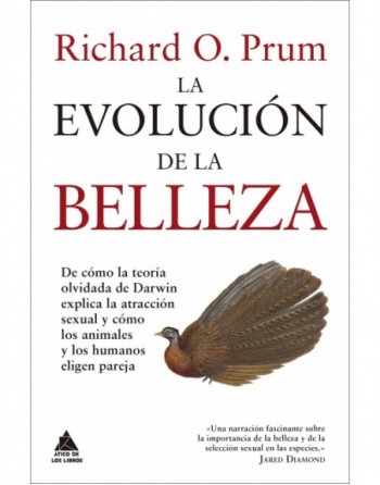 La evolución de la belleza